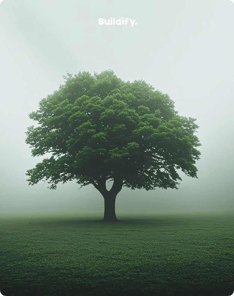 Tree in misty field